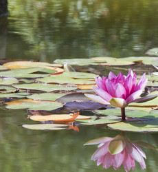 Similar image 420108