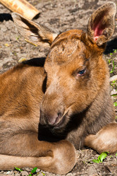 Similar image 420130