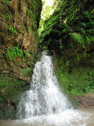 Similar image 420132