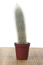 Similar image 420137