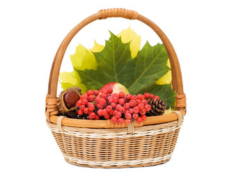 Similar image 420150