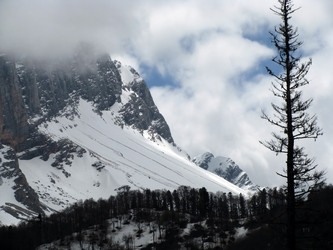 Similar image 420154