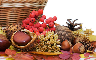 Similar image 420155