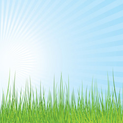 Similar image 420158