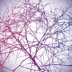 Similar image 420163