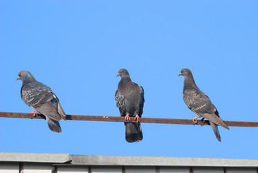 Similar image 420209