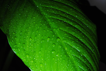 Similar image 420214