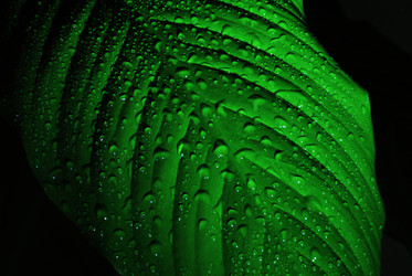 Similar image 420217