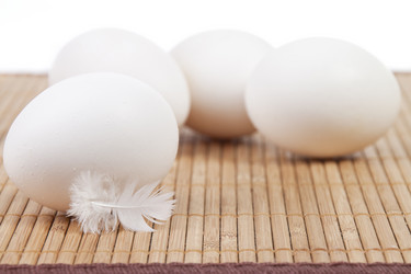 Similar image 420276