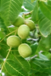 Similar image 420369