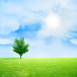 Similar image 420378