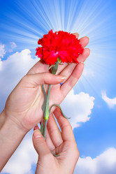 Similar image 420394