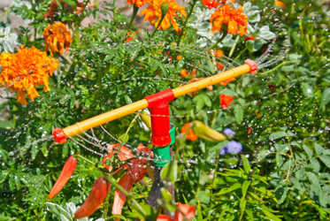 Similar image 420412