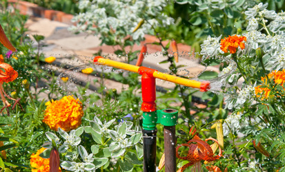 Similar image 420413