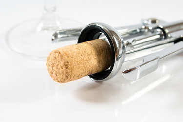 Similar image 420569