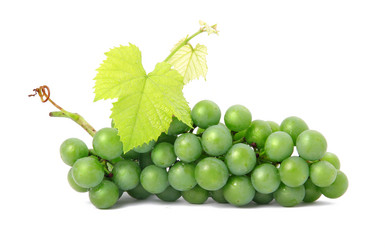 Similar image 420741