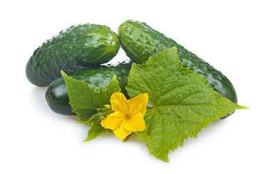 Similar image 420778