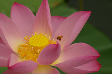 Similar image 420950