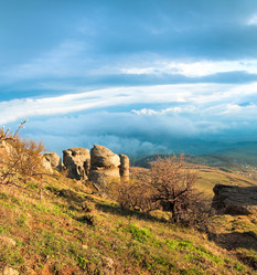 Similar image 420965