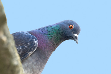 Similar image 420967