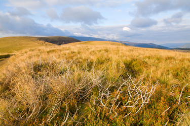 Similar image 421052