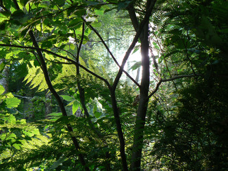 Similar image 421083