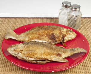 Similar image 421173