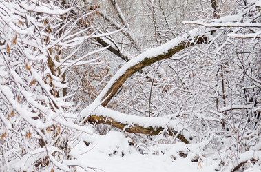 Similar image 421257