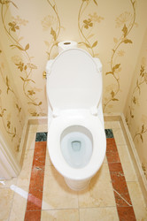 Similar image 421491