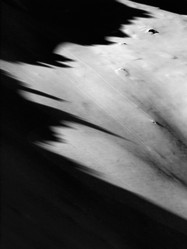 Similar image 421829