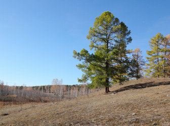 Similar image 421936