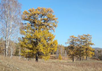 Similar image 421937