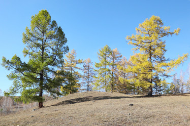 Similar image 421939