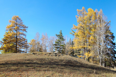 Similar image 421940