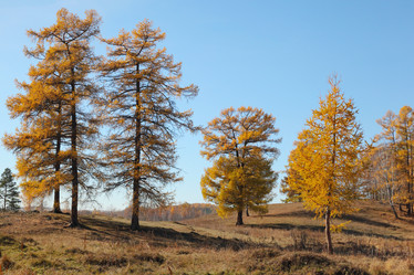 Similar image 421942