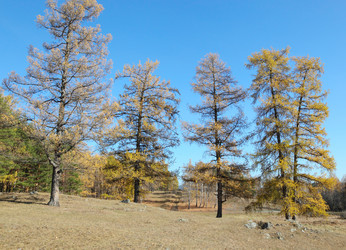 Similar image 421946