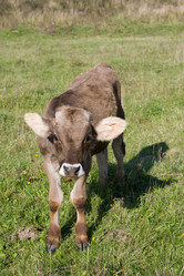 Similar image 421958