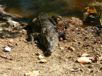 Similar image 422130