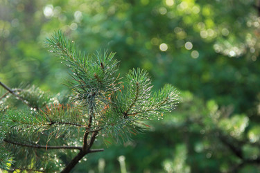 Similar image 422138