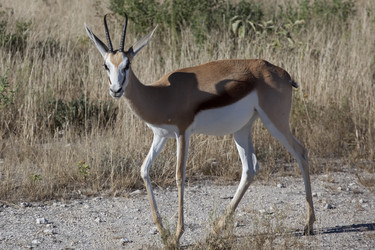 Similar image 422162