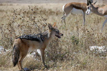 Similar image 422169