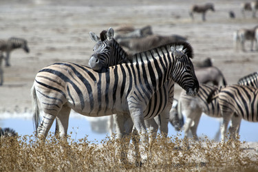 Similar image 422172