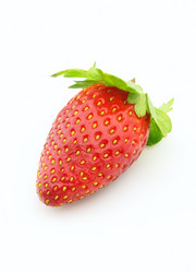 Similar image 422226