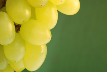 Similar image 422247