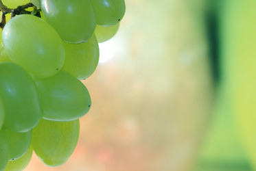 Similar image 422252