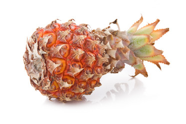 Similar image 422461