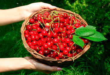 Similar image 422512