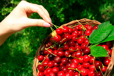 Similar image 422513