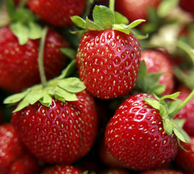 Similar image 422524