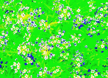 Similar image 422561